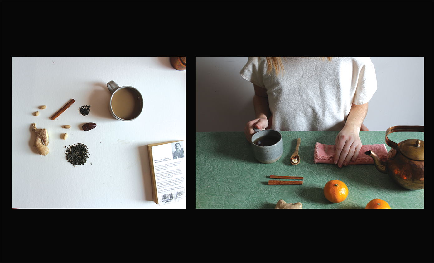 images included in the book